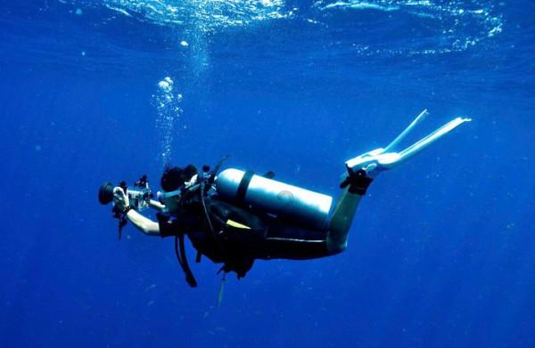 海绵宝宝寻珍宝