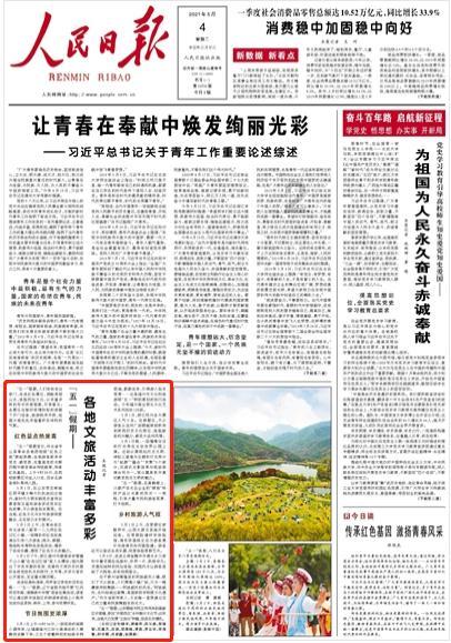 可爱的小考拉