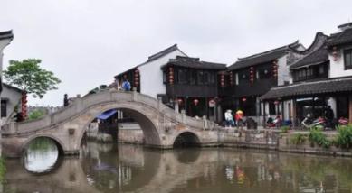 救援瓢虫宝宝